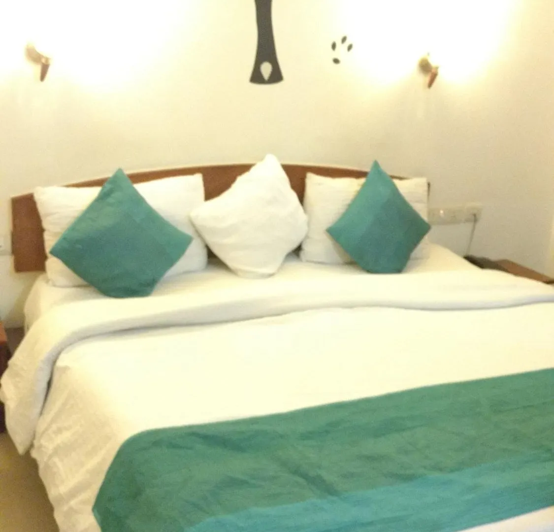 Airport Hotel Vishal Residency New Delhi 3*,